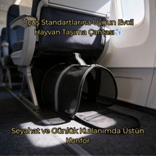 Vigi Store Vg Flybag Yırtılmaz Fileli Kedi ve Köpek Taşıma Çantası | Kabin Boy | Uçuş Standartlarına Uygun