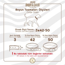 Beei Seri Dokuma Köpek Boyun Tasması 4X57-65CM Kırmızı