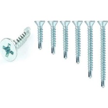 Beei Yhb Matkap Uçlu Akıllı Vida 3,9X19 ( 10 Adet )