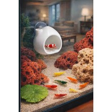 Mdizmir 5 Adet Karides Yuvası Üretim Tüpü ( Karma Renklerde )