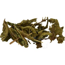 Beei Incir Yaprağı Doğal 100 gr Paket