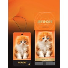 Areon Wild Blue Eyes Kaliteli Araç Kokusu