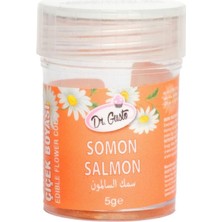 Dr. Gusto Somon Yenilebilir Şeker Hamuru Figür ve Çiçek Boyası 5 gr – Konsantre Gıda Boyası