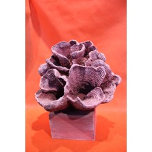 Rengarenk El Boyaması Deniz Mercanı Figürü