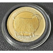 WoodBay Bimetal Ankara Keçisi Çil Hatıra Para 2015 Yılı Kapsül Içinde Görseldeki Ürün