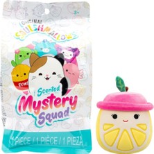 NW NessiWorld Squishmallows Mystery Squad Sürpriz Figür 13 cm