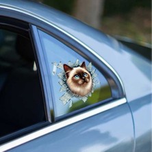 Ett Fulcar Siamesse Araç Stickerı