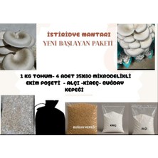 Istiridye Mantaryetiştiriciliği (Yeni Başlayan Paketi)