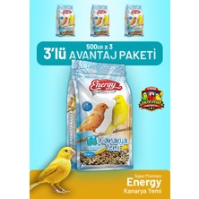 Bird Food Energy Kanarya Yemi 500 G - 3 Adet