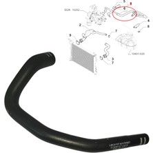 Gutsy Fıat Grup Genlesme Depo Su Sogutma Pompa Hortumu Alfa Romeo-Lancıa