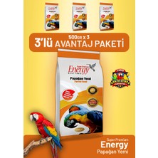 Bird Food Energy Papağan Yemi 500 G - 3 Adet