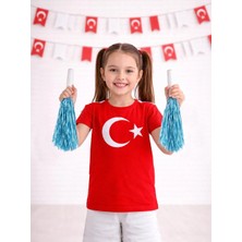 Parti Adresi Açık Mavi Metalik Ponpon – Milli Bayram Gösteri Ponponu 2'li