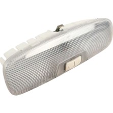 Gutsy Ford Courıer Tavan Aydınlatma Lambası