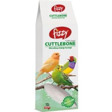 Beak's Mürekkep Balığı Kemiği (10-12 Cm)