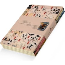 Hakay 4'lü Çizgisiz Defter Seti (A5, 256 Sayfa)