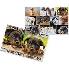 Hakay Kaymaz Yazı Masası Altlığı, 55X35 Cm, Çift Taraflı Tasarım