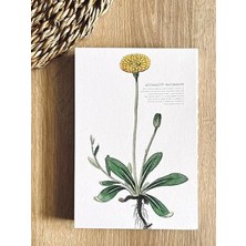 Hakay El Işçiliği ile Özel Tasarım A5 Çizgili Not Defteri