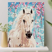 Hakay Numaralı Boyama Tuval Seti - 40X50 Cm, Beyaz At Deseni