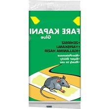 Hakay Zehirsiz Fare Kapanı Yapışkanı