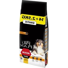 Hakay Yetişkin Köpekler Için Tavuklu Kuru Mama - 16.5 kg