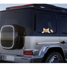 Hakay Sarman Kedi Sticker, Arabalar Için Eğlenceli Dekor