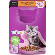 Hakay Kümes Hayvanlı Yavru Kedi Yaş Mama 85 G