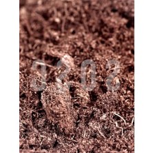 Hakay Premium Kalite Ithal Sphagnum Bitki Yetiştirme Torfu - 3 Litre