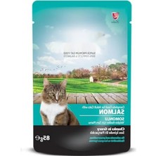 Hakay Somonlu Kedi Konsantresi Pouch Jelly 85 gr