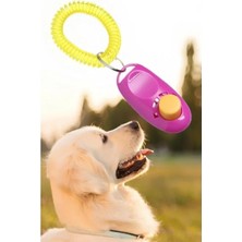 Hakay Köpek Eğitim Clicker Aparatı - Tuvalet Eğitimi Için
