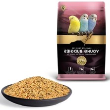 Hakay Premium Yavru Muhabbet Kuşu Yemi 1 kg