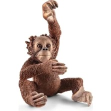 Hakay Yavru Orangutan Oyuncak Figürü - Vahşi Yaşam Eğitimi