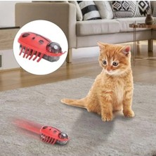 Hakay Hareketli Uğur Böceği Şeklinde Kedi Oyuncağı