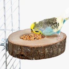 Hakay Doğal Ağaç Kuş Tüneği ve Yemlik, Kütük Tünek