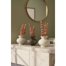 Rivashé 3lü Dekoratif Beyaz, Metalik Siyah, Inci Mini Vazo Set + Şoklanmış Çiçek