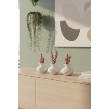 3lü Dekoratif Beyaz Mini Vazo Set + Şoklanmış Çiçek