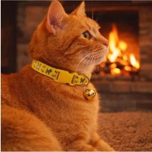 Hakay Ayarlenebilir Zilli Kedi Boyun Tasması - Sarı Renk