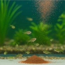 Hakay Özel Karışık Balık Yemi - 100 G, Mikro Granül & Toz