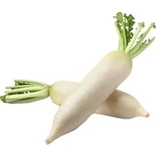 Hakay Çin Beyaz Turp Tohumu - 5 Gram