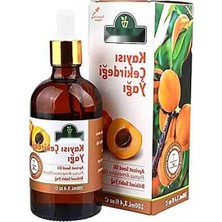 Hakay Doğal Kayısı Çekirdeği Yağı - 100 ml