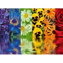 Hakay 500 Parça Çiçek Yansıma Puzzle