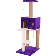 Hakay Kedi Tırmalama, Nemrut, Mor