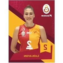 Hakay Koleksiyonluk Voleybol Kart Serisi