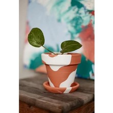 Hakay El Yapımı Terracotta Konik Saksı + Tabak - Bohem Beyaz (Küçük)