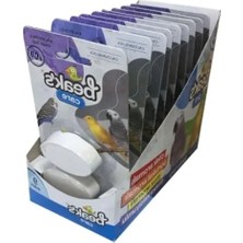 Hakay Kuşlar Için Kalsiyum Blok Seti x 9 Adet