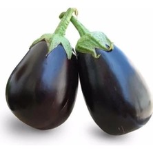Hakay Topan Patlıcan Tohumu - 5 Gram