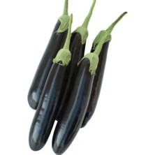 Hakay Aydın Siyah Patlıcan Tohumu - 5 Gram