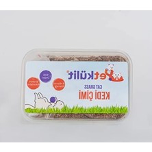 Hakay Şeffaf Kedi Çimi - Doğal ve Sağlıklı