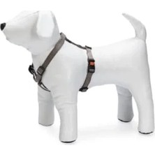 Hakay Kilitli Göğüs Tasma, Xs, 25-40 Cm, Gri Renk