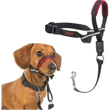 Hakay Ayarlanabilir Yansıtıcı Baş Tasması ile Küçük Köpekler Için Eğitim Yardımcısı