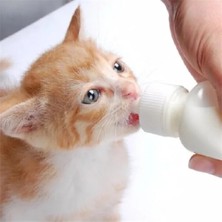 Hakay Yavru Kedi ve Köpekler Için 50 ml Iki Emzikli Biberon